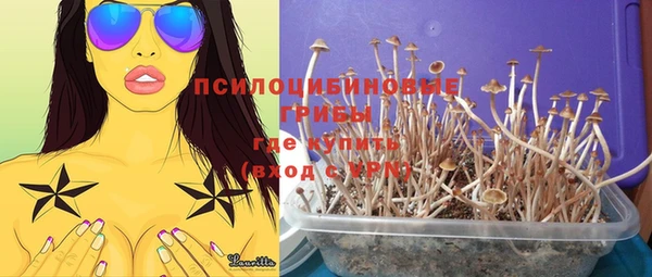стаф Балабаново