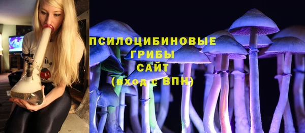 дживик Балахна